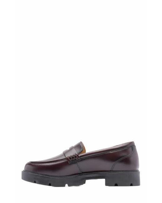 ABEO Brown Boulevard Loafer