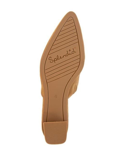 Splendid Brown Lyn Suede Mule Heel