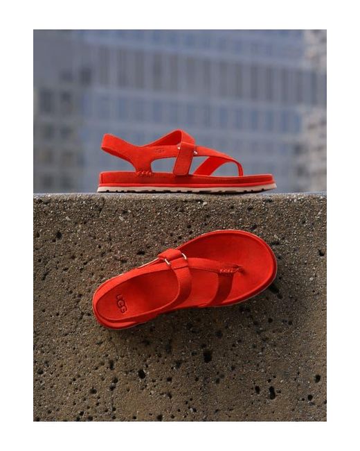 Ugg Red Goldengaze Toe Post Suede Sandal