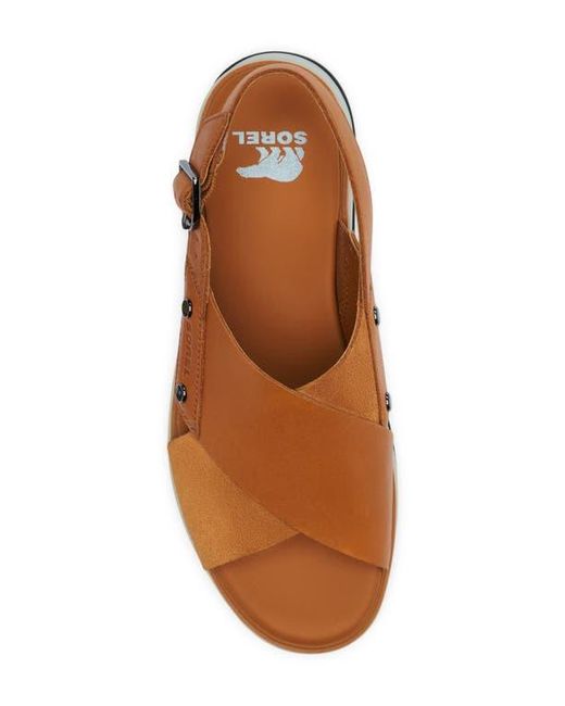 Sorel Brown Dayspring Crisscross Sandal