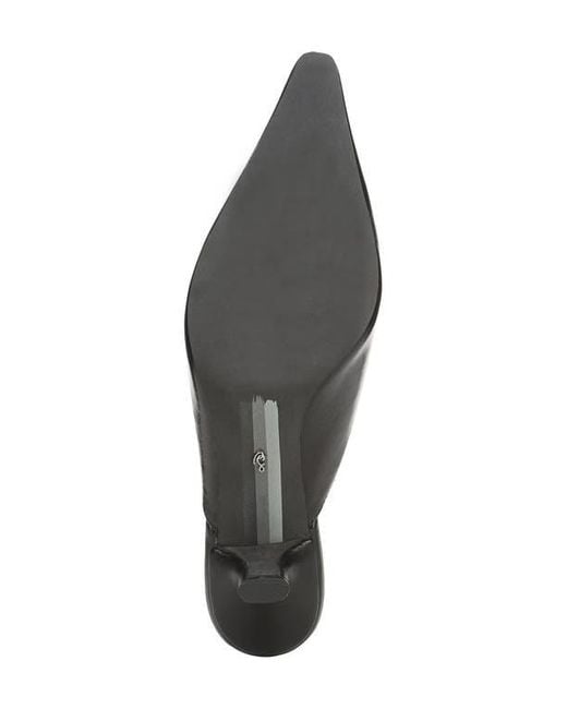 Sam Edelman Black Brandy Pointed Toe Mule