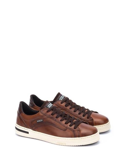 Pikolinos Xativa Basic Punched Sneaker in Brown for Men Lyst