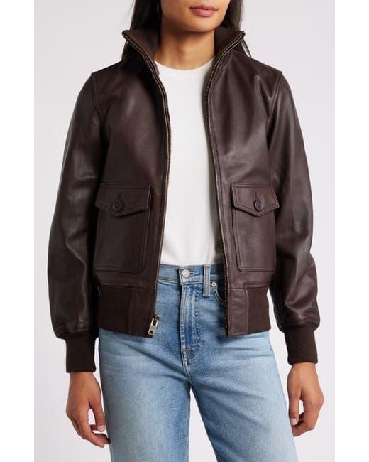 Schott Nyc Brown Leather Flight Jacket