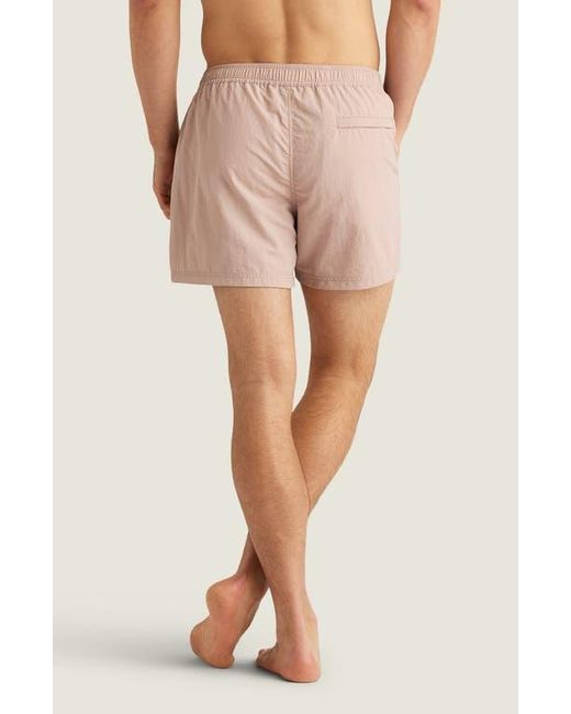 AUTO-REPLY™ Pink Sebastian Solid 4-Inch Nylon Swim Trunks for men