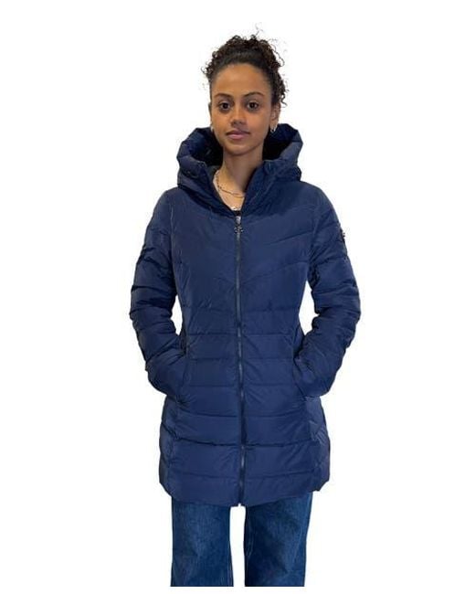 Woodpecker Blue Long Robin Medium Weight Coat