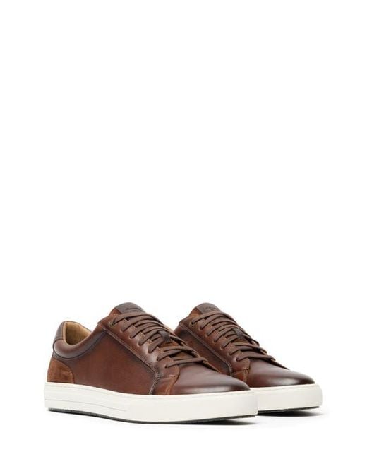 Rodd & Gunn Brown Transit Sneaker for men