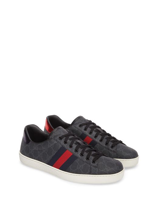new ace webbed low top sneaker