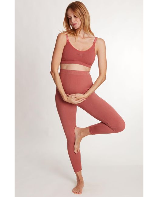 Cache Coeur Red Zoe Ribbed Crop Maternity leggings