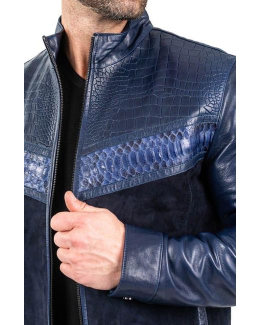 Maceoo Blue Pythonshield Snakeskin Embossed Leather Jacket for men