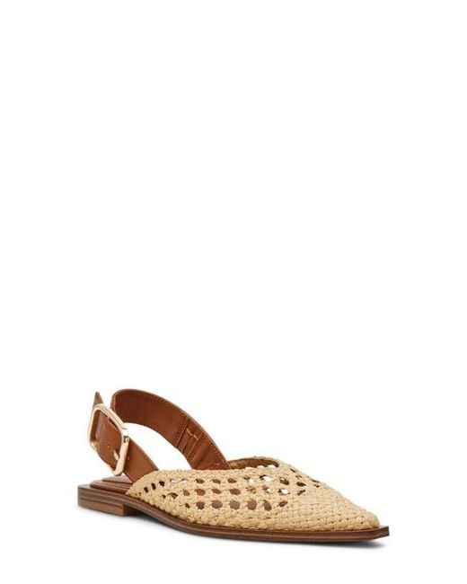 Steve Madden Brown Shay Pointed Toe Slingback Flat