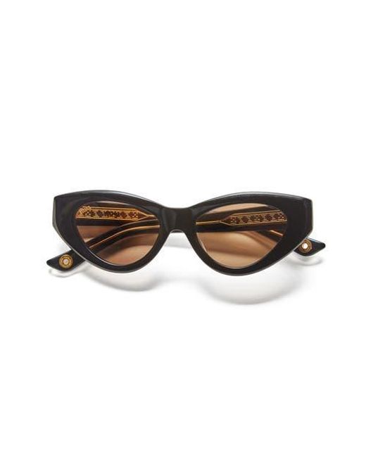 VADA Brown Catfish Sunglasses
