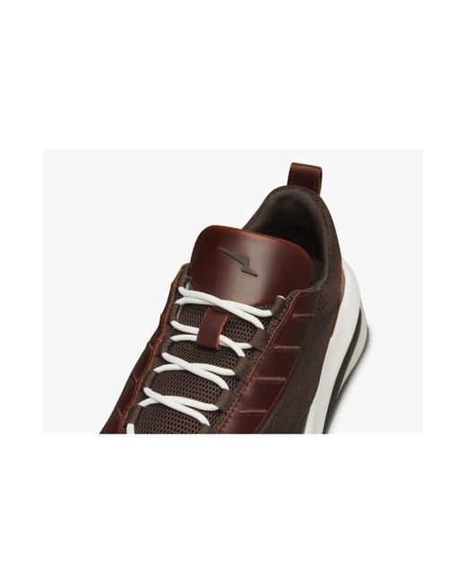 Wolf & Shepherd Multicolor Supercrossover Trainer Sneaker for men