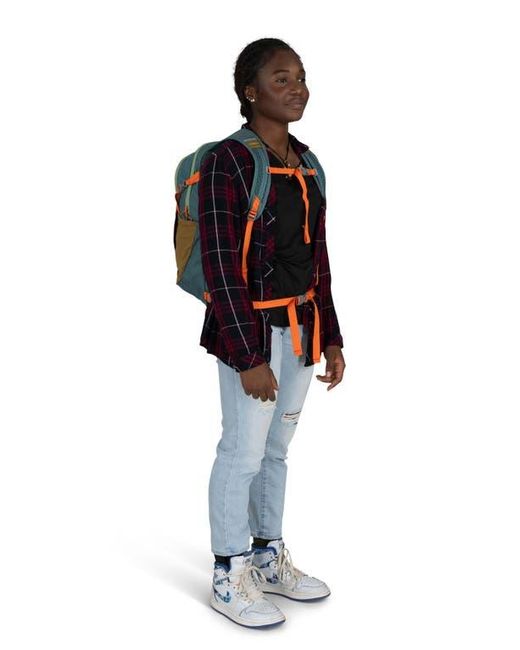 Osprey Green Daylite Earth Plus Backpack