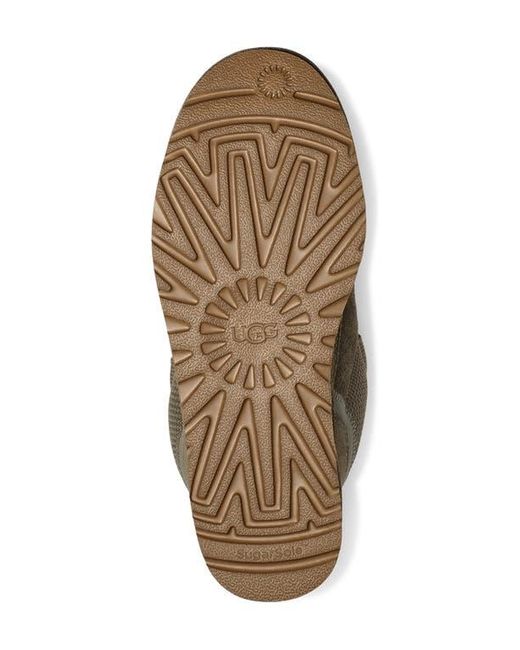 Ugg Multicolor Lowmel Sneaker