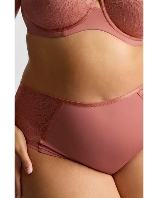 Panache Brown Sophia Lace Cheeky Briefs