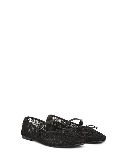 Circus by Sam Edelman Black Sofie Mesh Ballet Flat