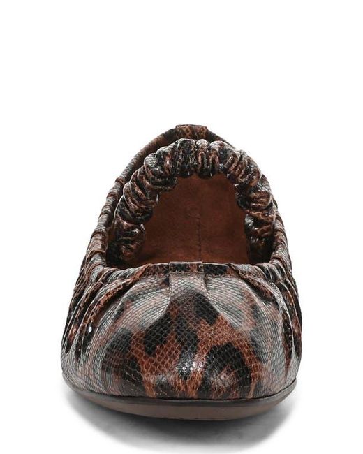Circus by Sam Edelman Brown Blythe Flat