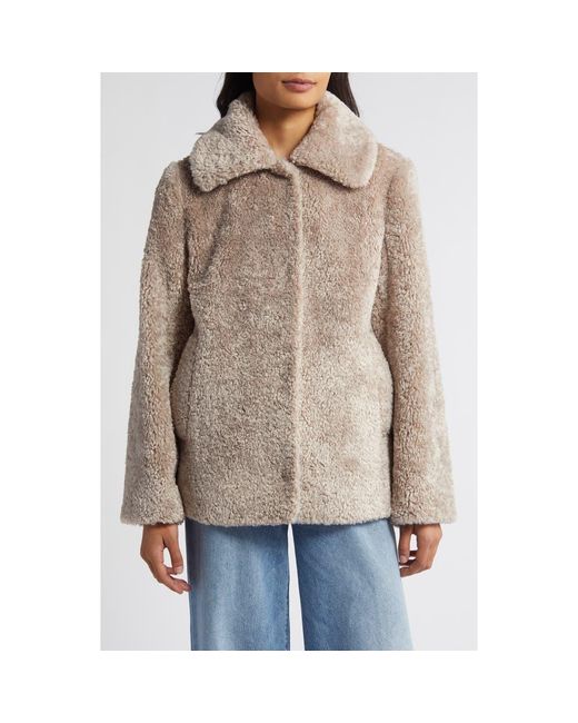 Sam edelman teddy bear coat new arrivals