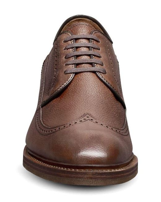 Allen Edmonds Brown Winston Verse Wingtip Brogue Oxford for men