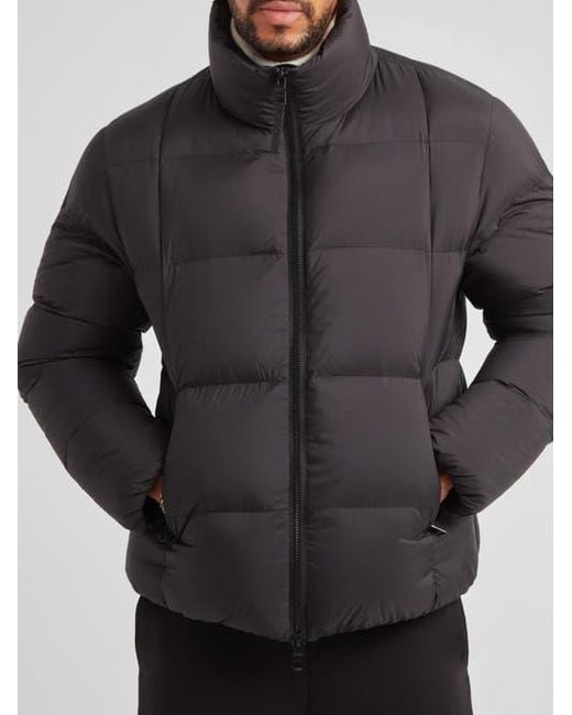 Jacket Gray Cloud Long Sleeve Puffer Racer Jacket for men
