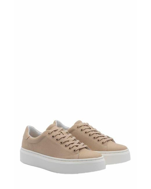 ABEO Natural Jumpstreet Sneaker