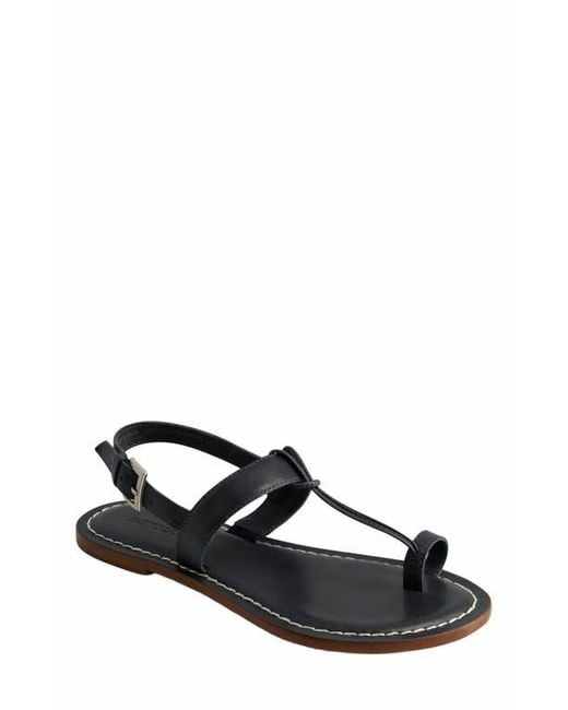 Bernardo Brown Maverick 2 Toe Loop Sandal