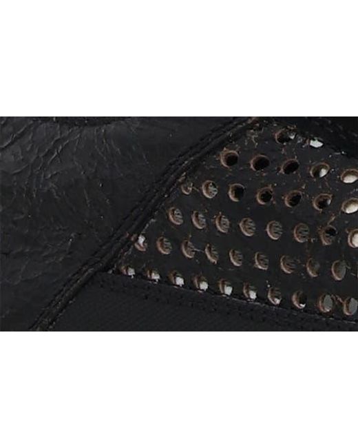 Candice Cooper Black Tim Perforated Leather Lace-Up Sneaker