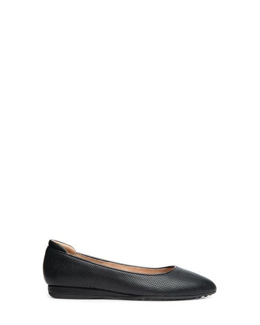 Me Too Blue Adaria Ballet Flat