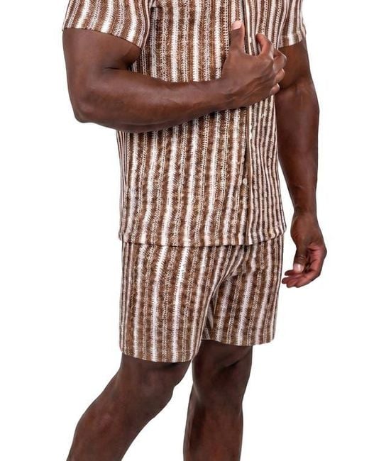 Maceoo Brown Knit Drawstring Shorts for men