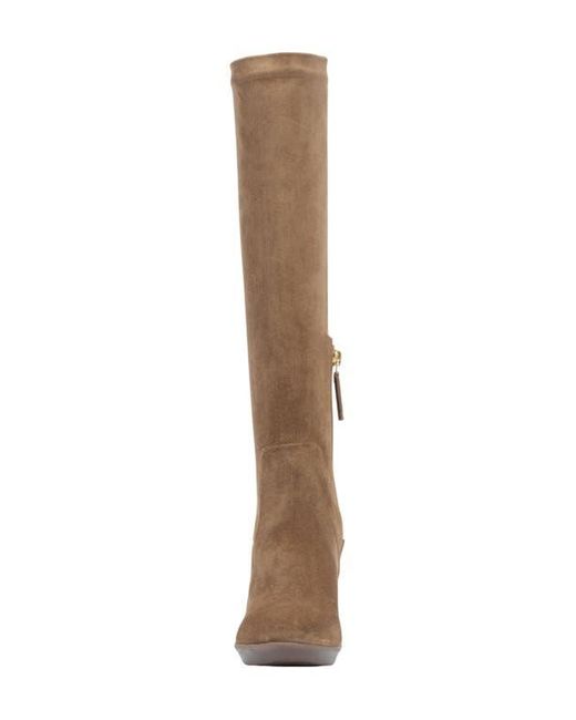 Aquatalia Brown Rhumba Knee High Boot