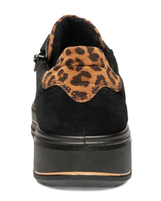 Ara Black Conifer Sneaker