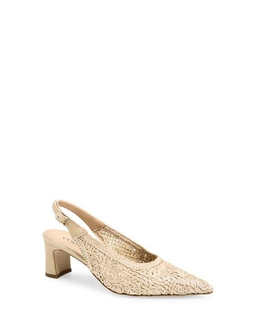 Cordani Natural Nikole Slingback Pointed Toe Pump