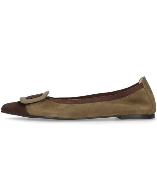 Pretty Ballerinas Brown Pointed Toe Elasticated Ballet Flat