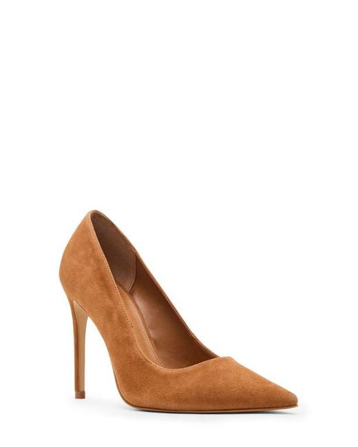 Steve Madden Brown Noir Pointed Toe Pump