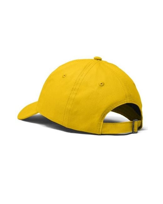 Alix Yellow Capybara Donut Embroidered Cap for men