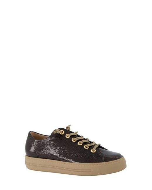 Paul Green Black Hadley Platform Sneaker