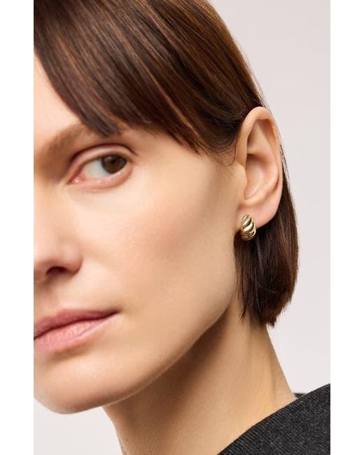 Ana Luisa Metallic Solid