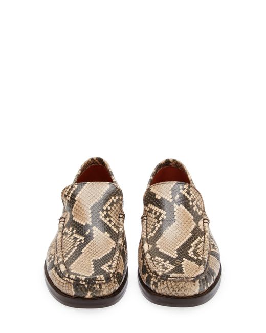 Acne Brown Snakeskin Print Loafer for men