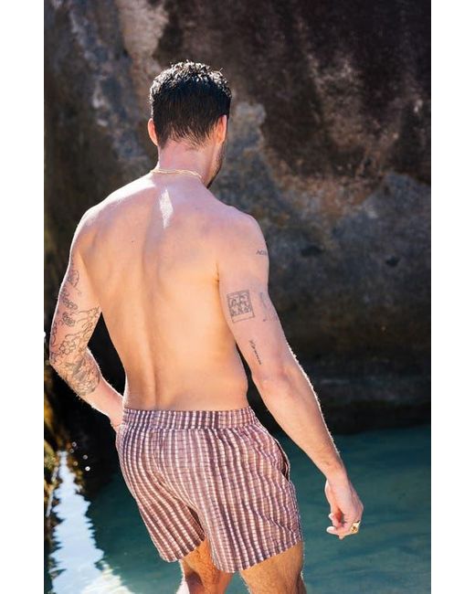 AUTO-REPLY™ Purple Solid 4-Inch Nylon Swim Trunks for men