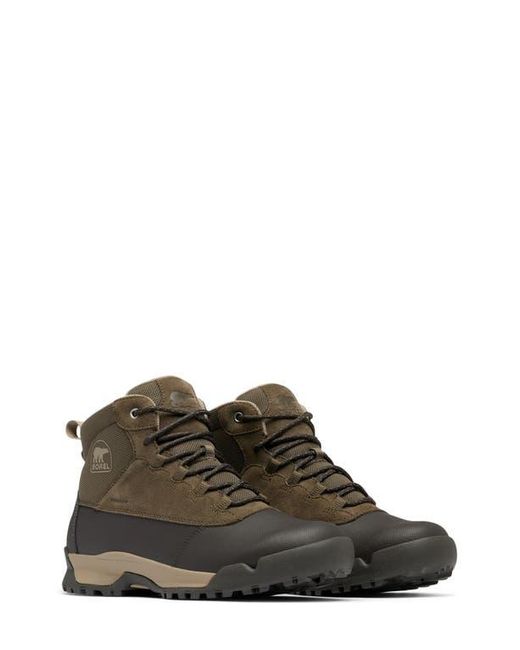 Sorel Brown Buxton Lite Plus Waterproof Boot for men