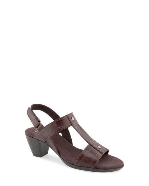 Munro Brown Willow Slingback Sandal