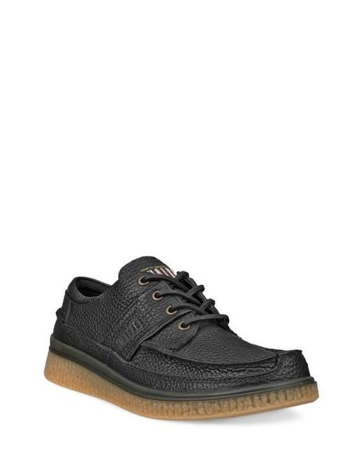 Ecco Black Walker 3.0 Waterproof Sneaker for men