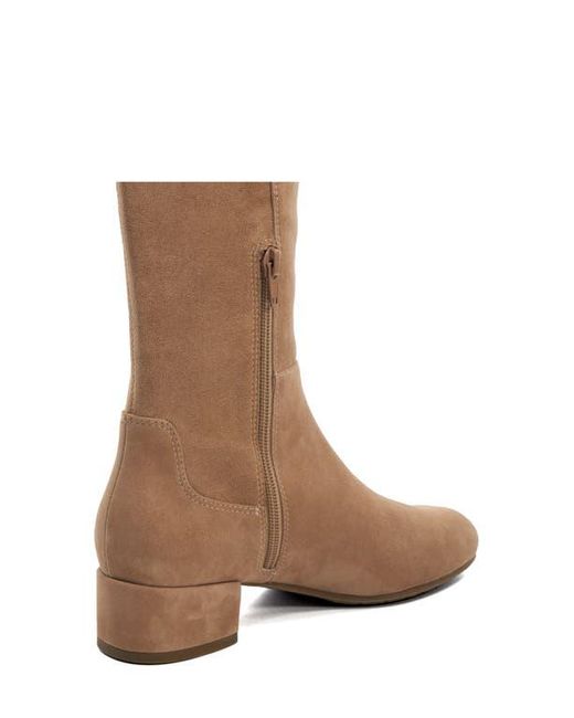 Dune Brown Tayla Knee High Boot