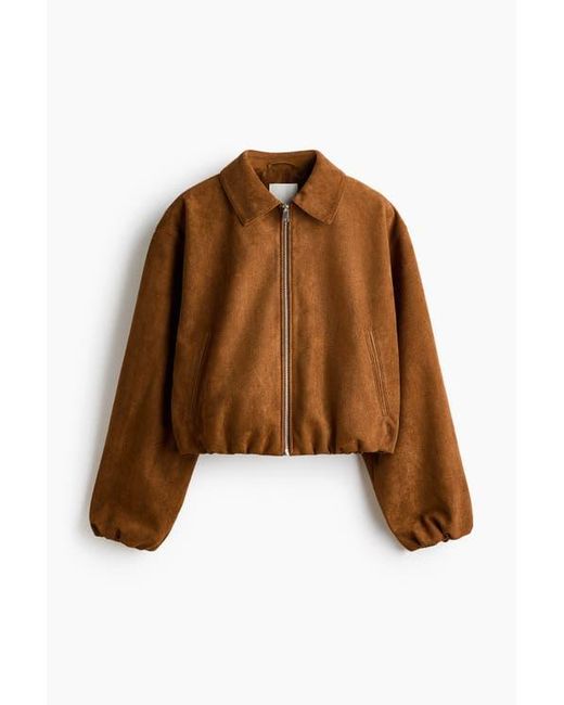H&M Brown Collared Jacket