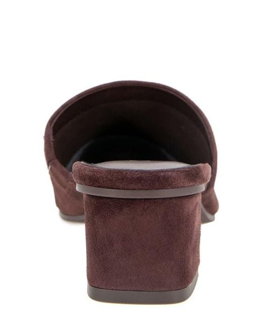 Splendid Brown Lorelei Mule