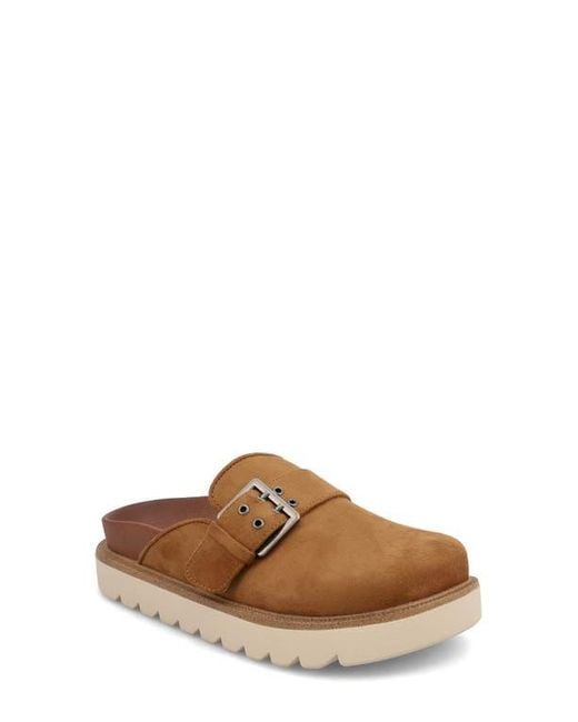 MIA Brown Zamira Clog