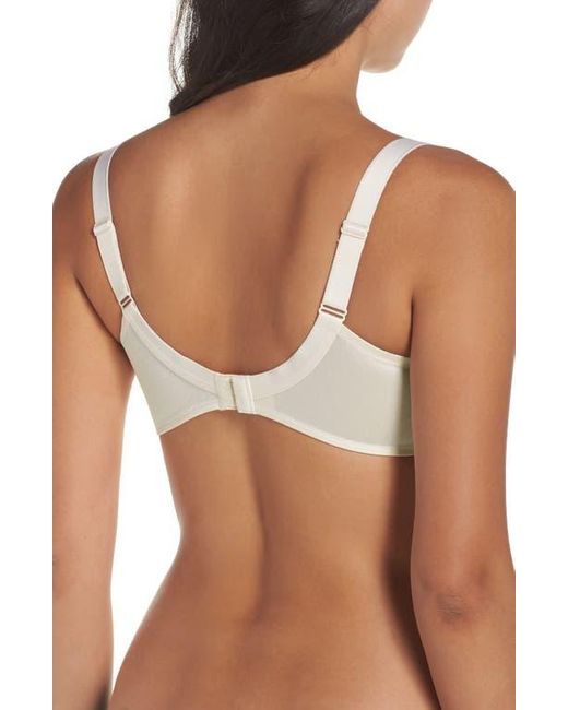 Chantelle Brown Chantelle Intimates Hedona Seamless Underwire Minimizer Bra