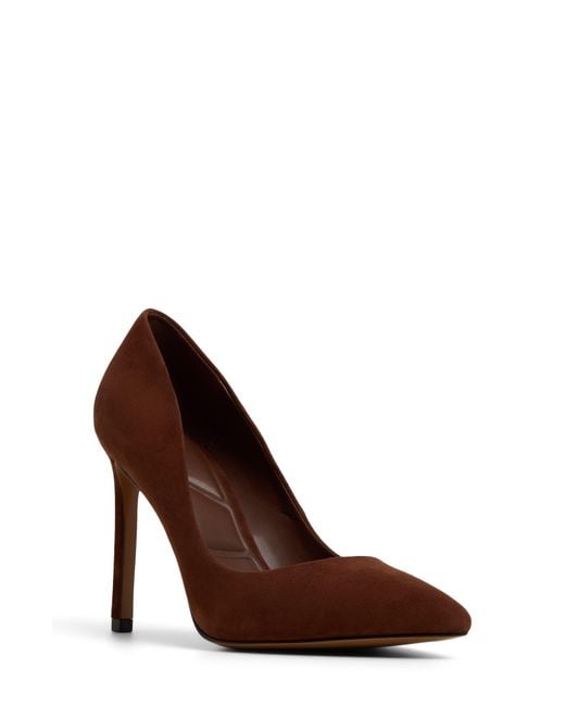 ALDO Brown Lala Pointed Toe Pump
