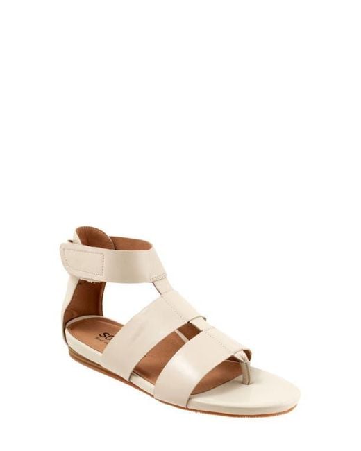 Softwalk® Natural Cabo Gladiator Sandal