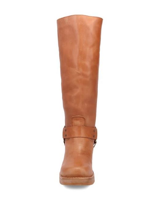 Dingo Brown Casbah Knee High Boot